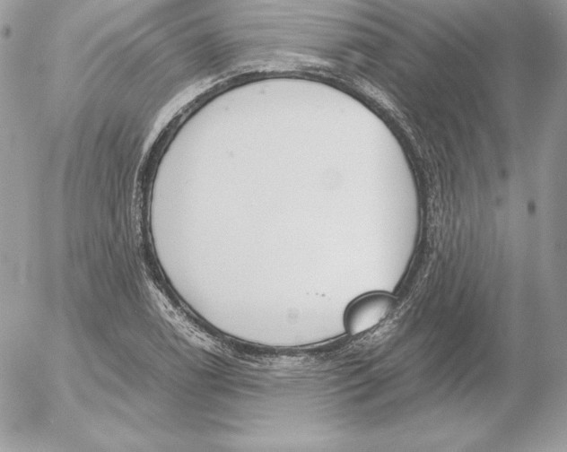 X0000052611122200507221652