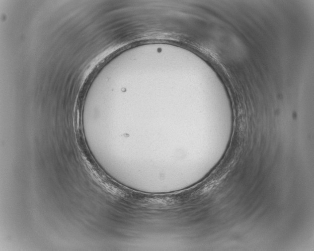 X0000052611125200507221652