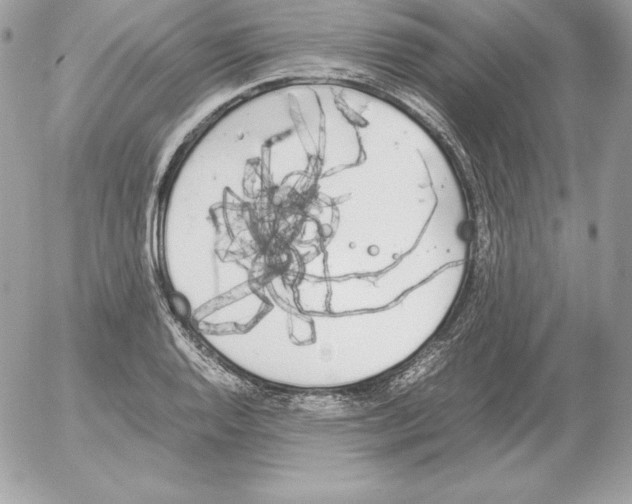 X0000052611128200507221652