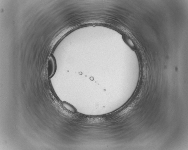 X0000052611129200507221652