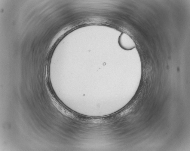 X0000052611130200507221652