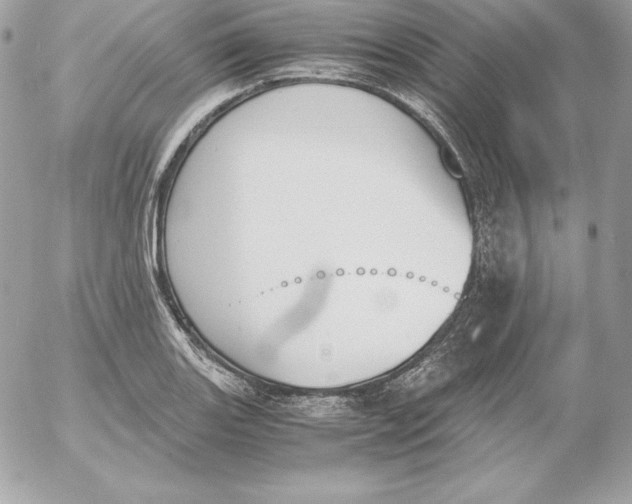 X0000052611131200507221652