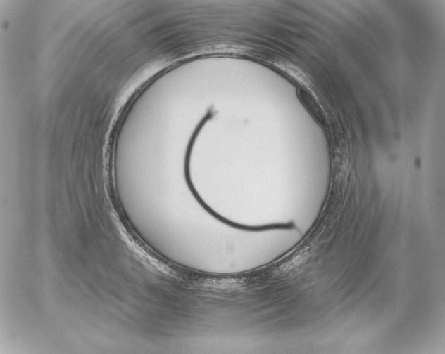 X0000052611135200507221652