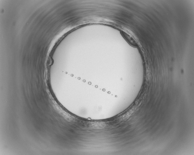 X0000052611136200507221652