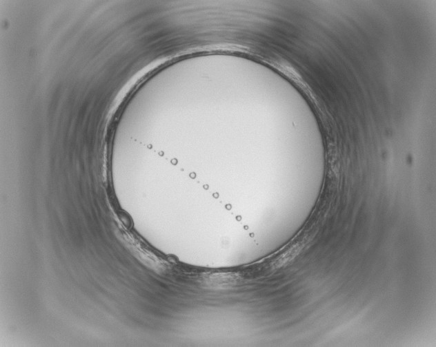 X0000052611140200507221652