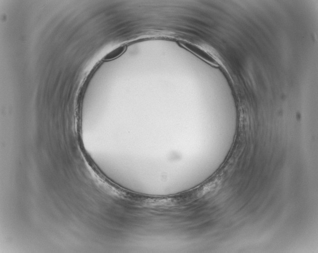 X0000052611143200507221652