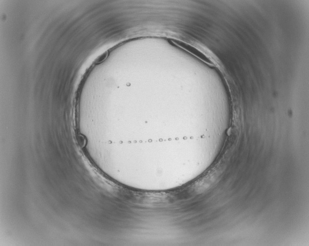 X0000052611144200507221653