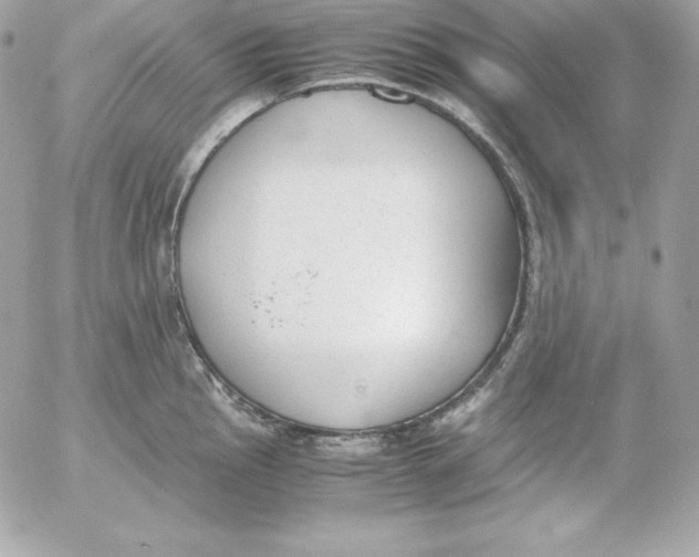 X0000052611145200507221653