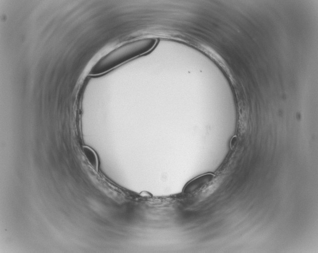 X0000052611146200507221653