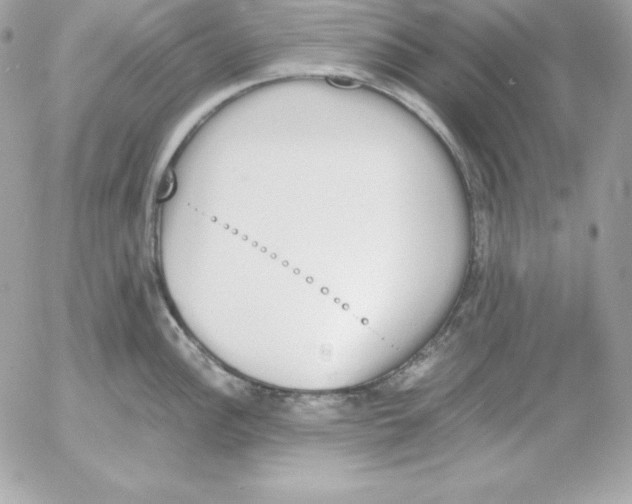 X0000052611148200507221653