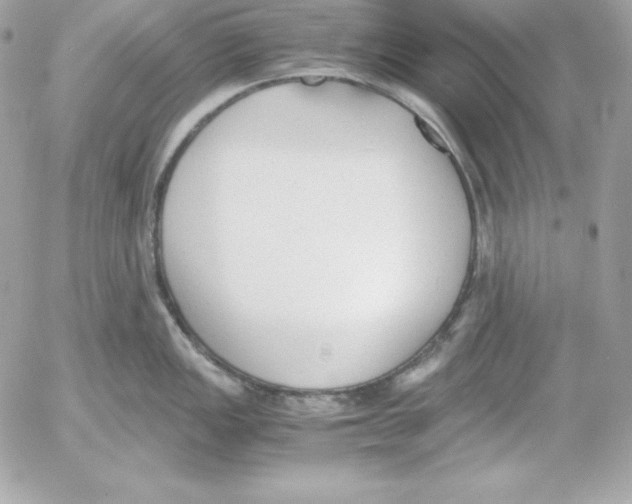 X0000052611149200507221653