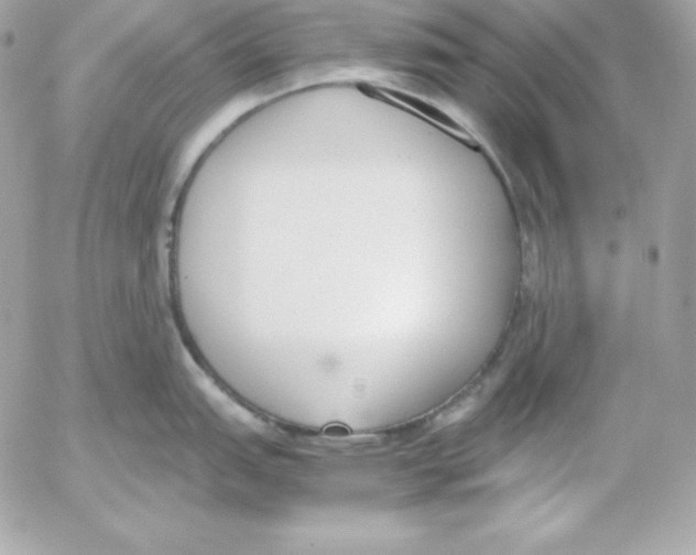 X0000052611151200507221653