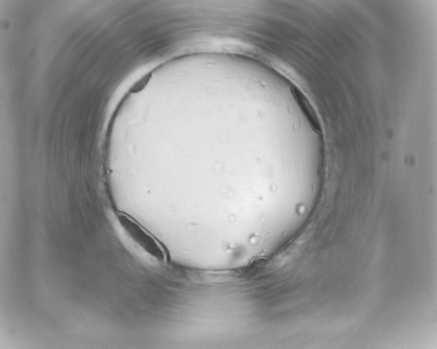 X0000052611152200507221653