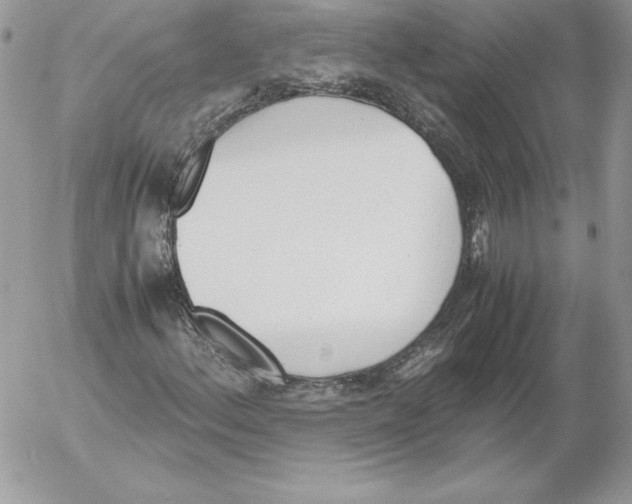 X0000052611156200507221652