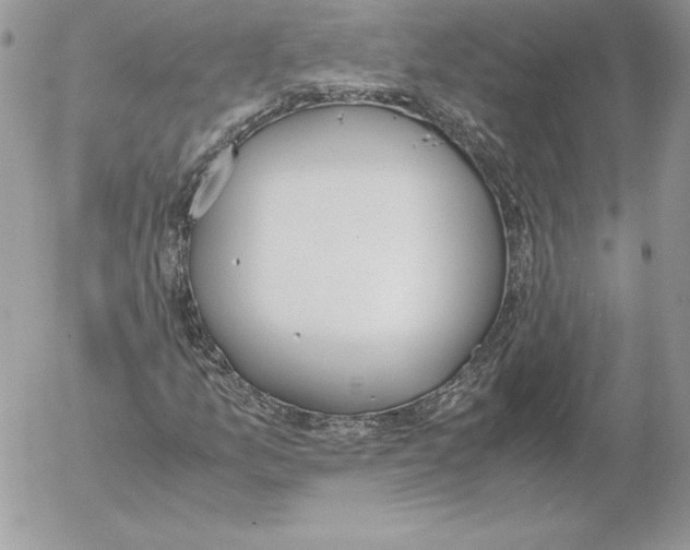 X0000052611157200507221652