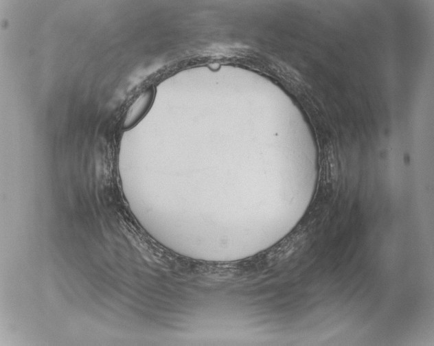 X0000052611158200507221652