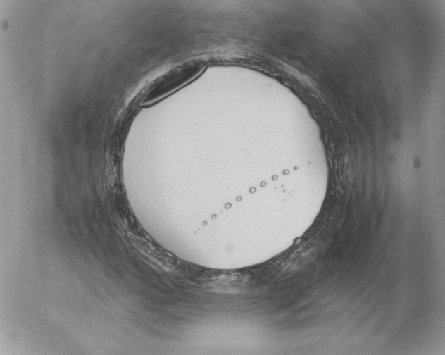 X0000052611160200507221652