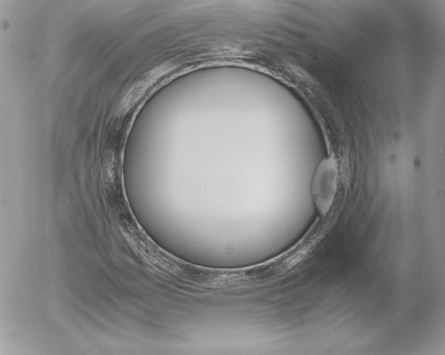 X0000052611161200507221652