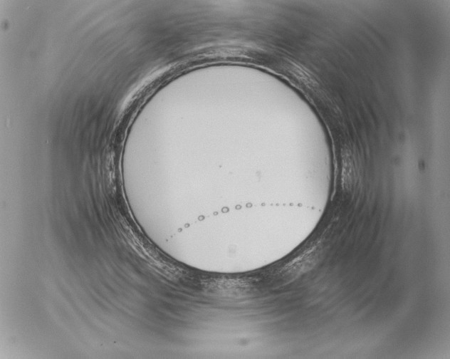 X0000052611164200507221652