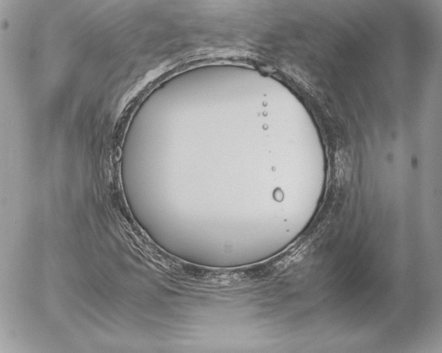 X0000052611165200507221652