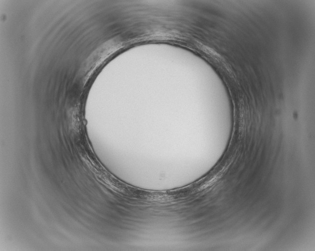 X0000052611170200507221652