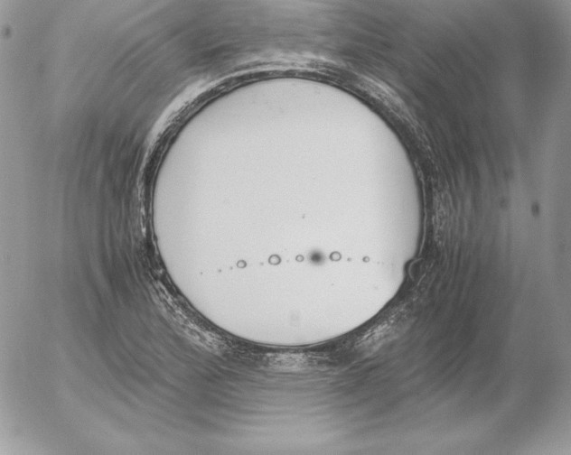 X0000052611172200507221652