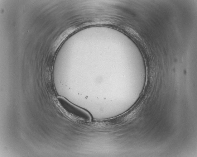 X0000052611177200507221651