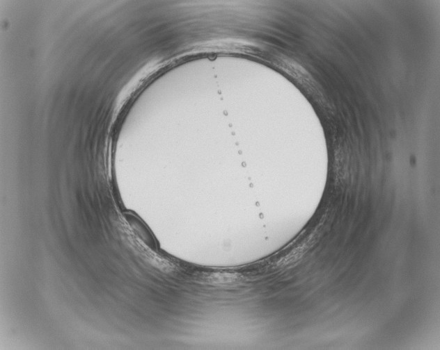 X0000052611180200507221651