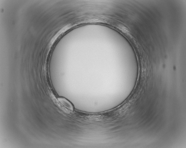 X0000052611181200507221651