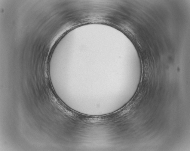 X0000052611182200507221651