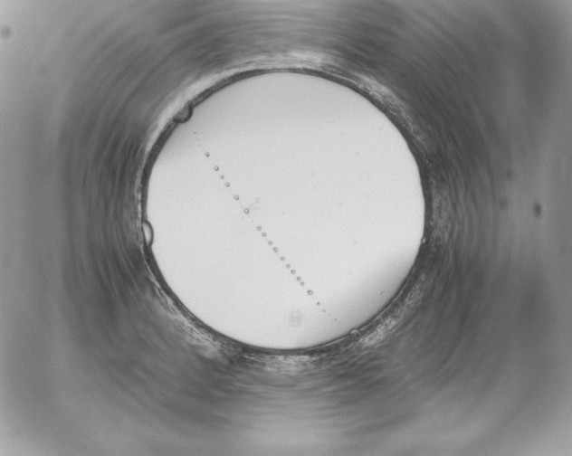 X0000052611184200507221651