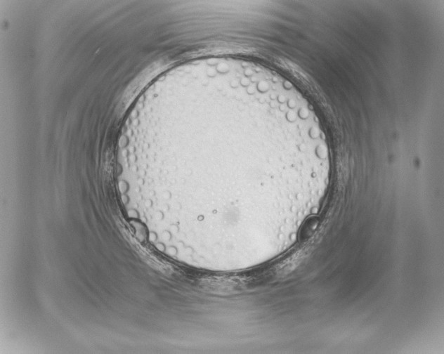 X0000052611185200507221651