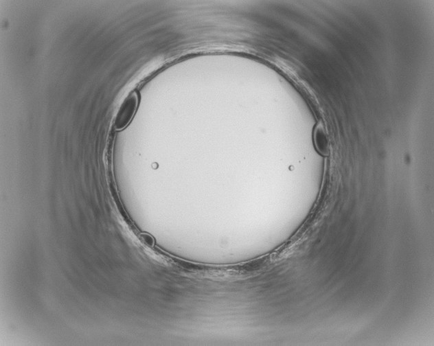 X0000052611189200507221651