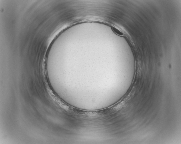 X0000052611190200507221651