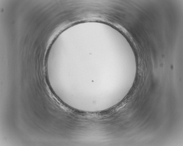 X0000052611191200507221651