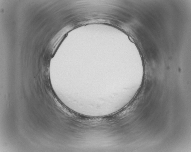 X0000052611193200507221651