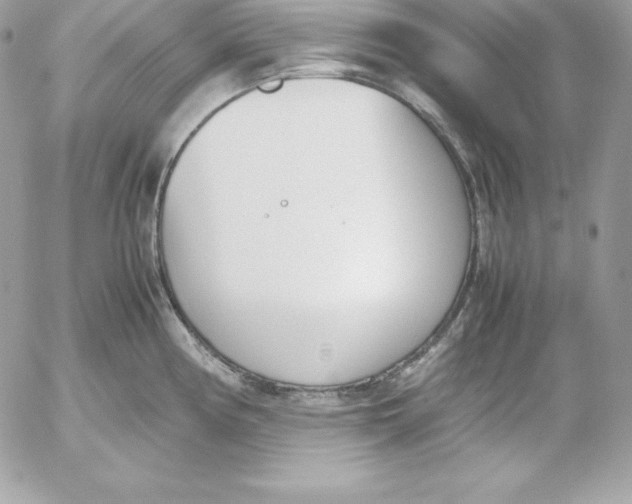 X0000052611194200507221651