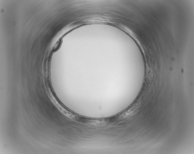 X0000052611195200507221651