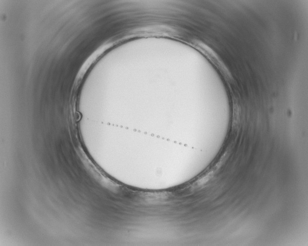 X0000052611196200507221651