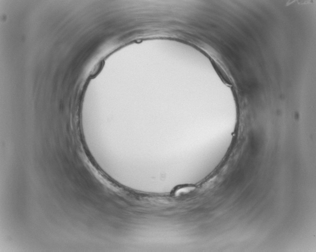 X0000052611197200507221651