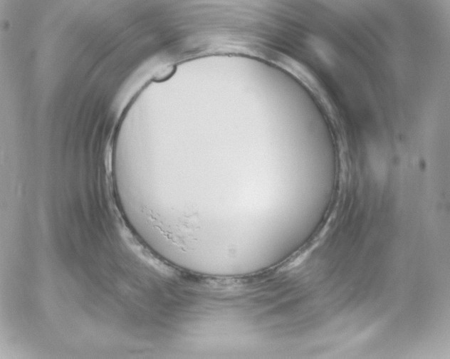 X0000052611198200507221651