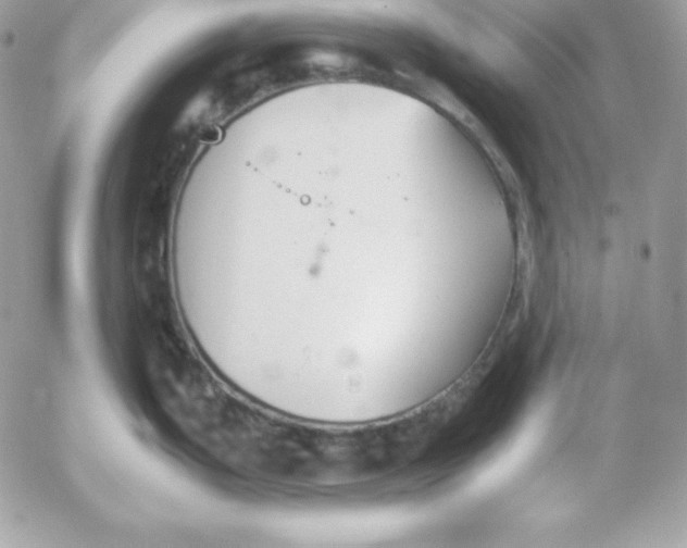 X0000052611199200507221651