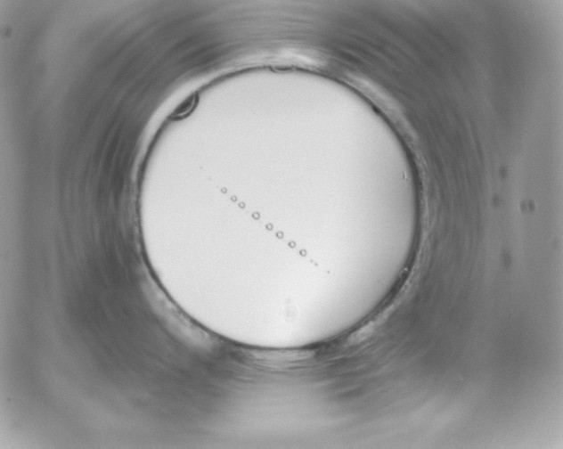 X0000052611200200507221651