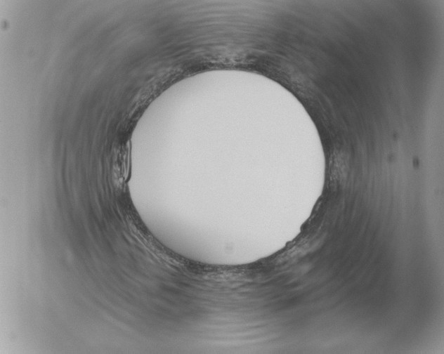 X0000052611202200507221650