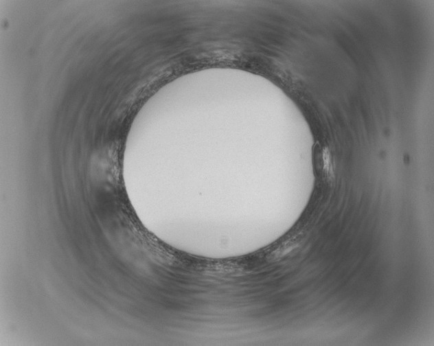 X0000052611203200507221650