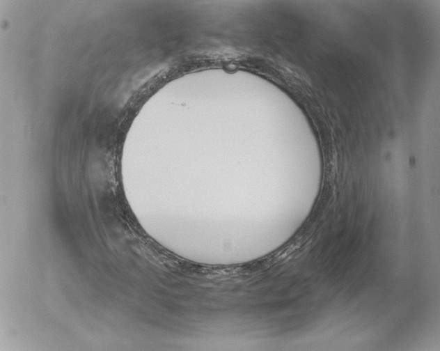 X0000052611205200507221650