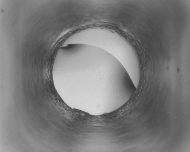 X0000052611206200507221650