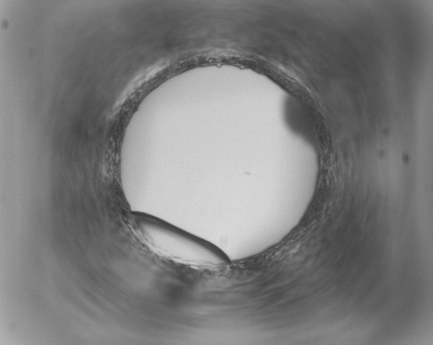 X0000052611207200507221650