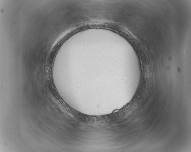 X0000052611208200507221650