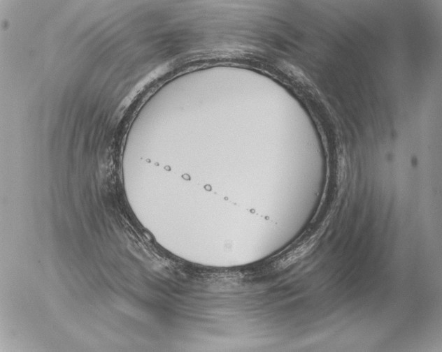 X0000052611210200507221650